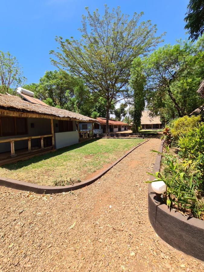 Honey Badger Lodge Moshi Exterior photo